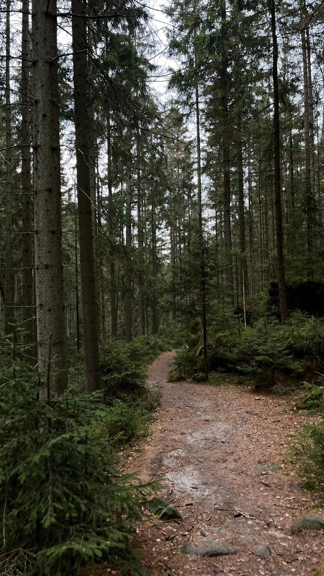 Teplice nad Metují Feelmountains酒店 外观 照片